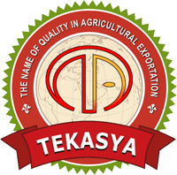Tek Asya
